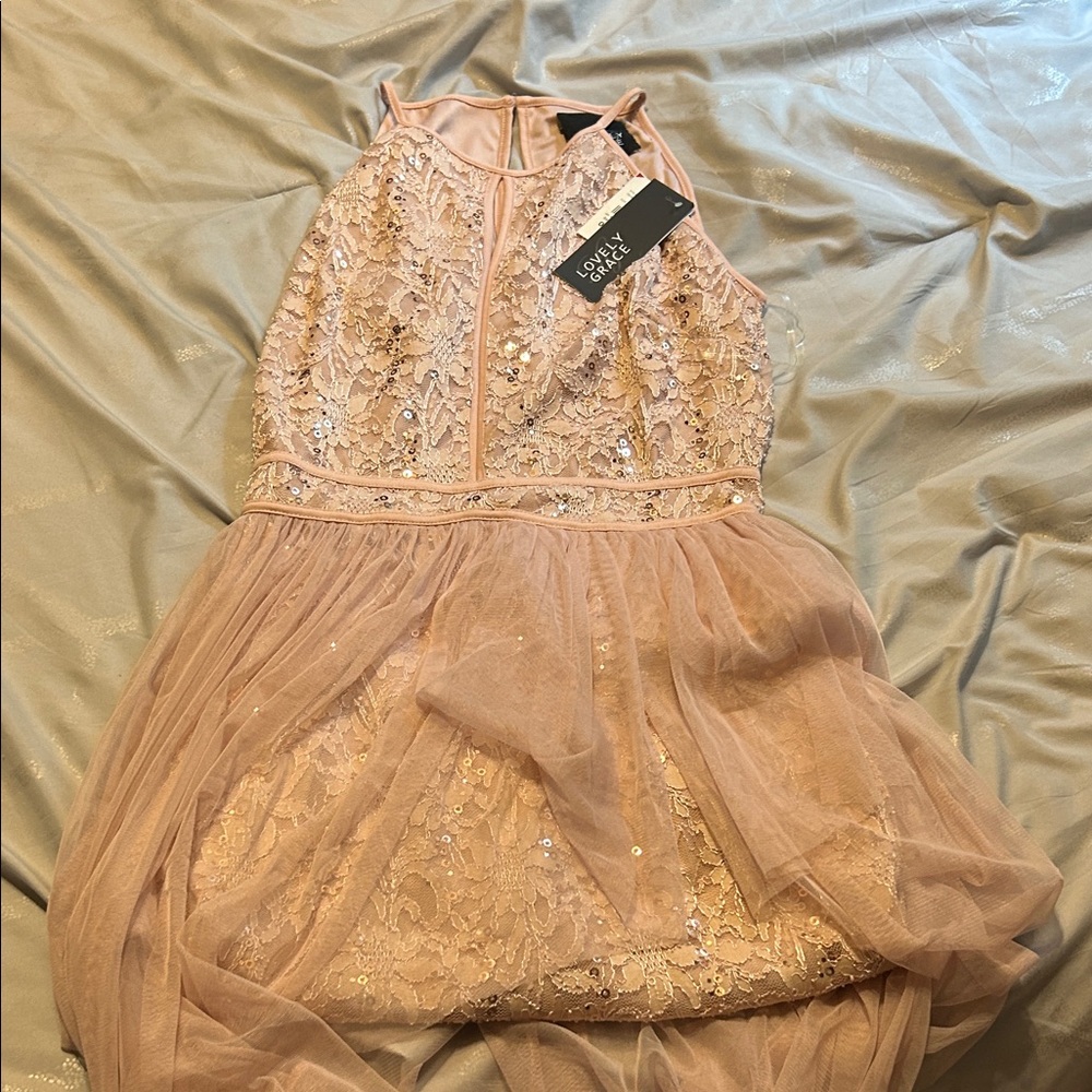 Blush Lace Formal Women’s Dress